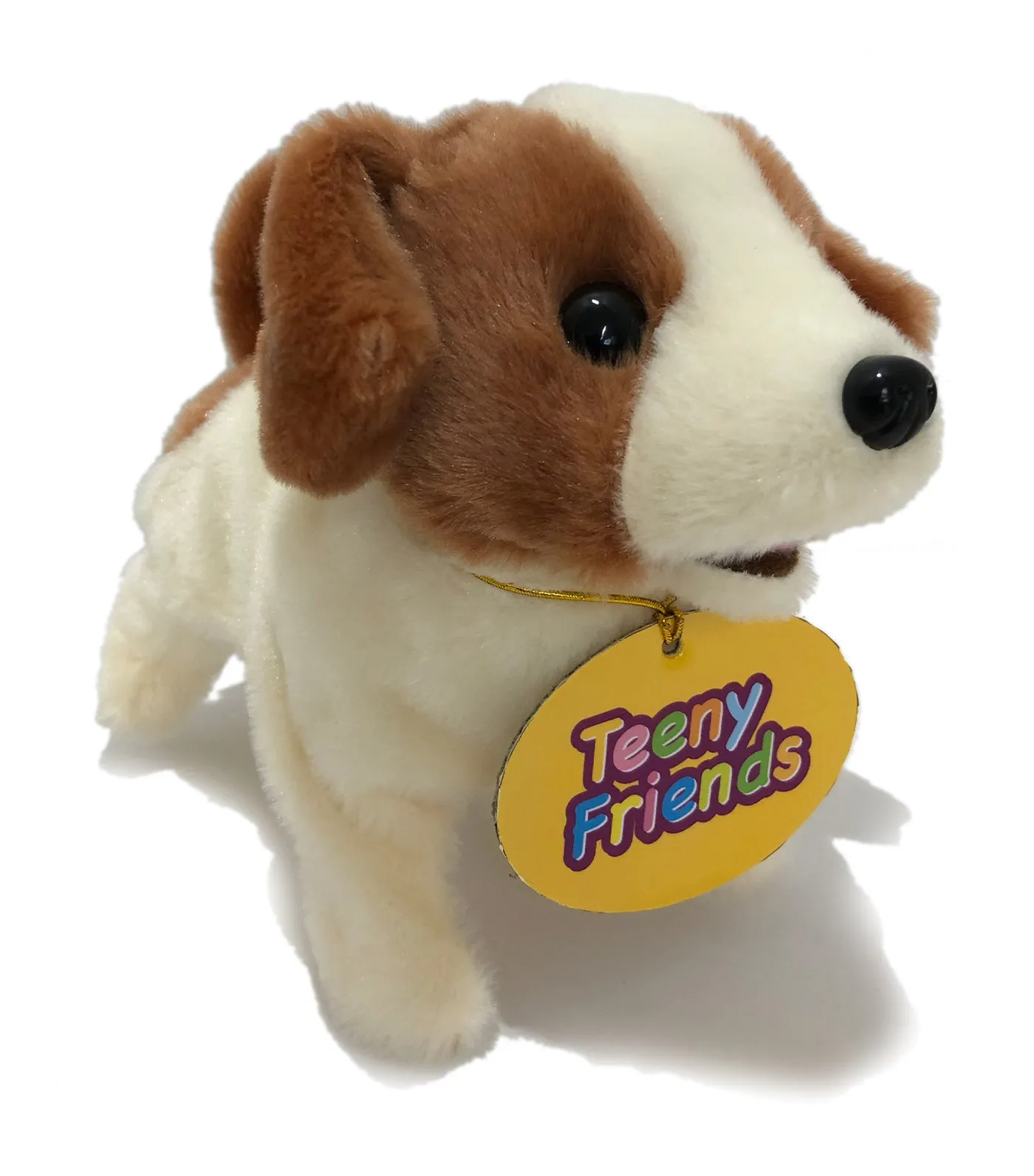Baby Jack Russel Terrier