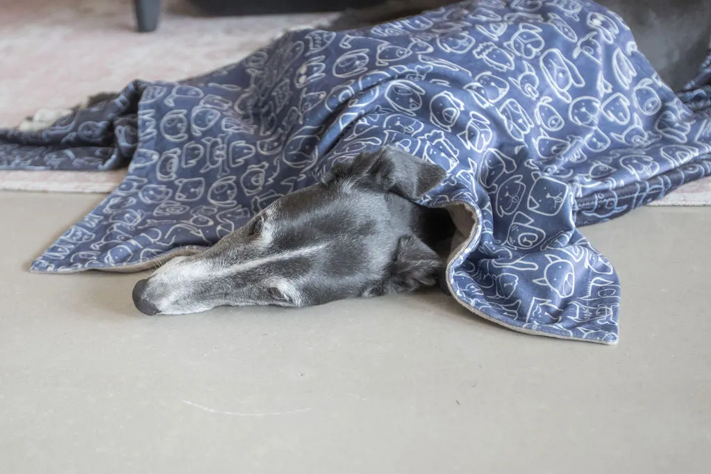 Dog Central Indigo Blanket