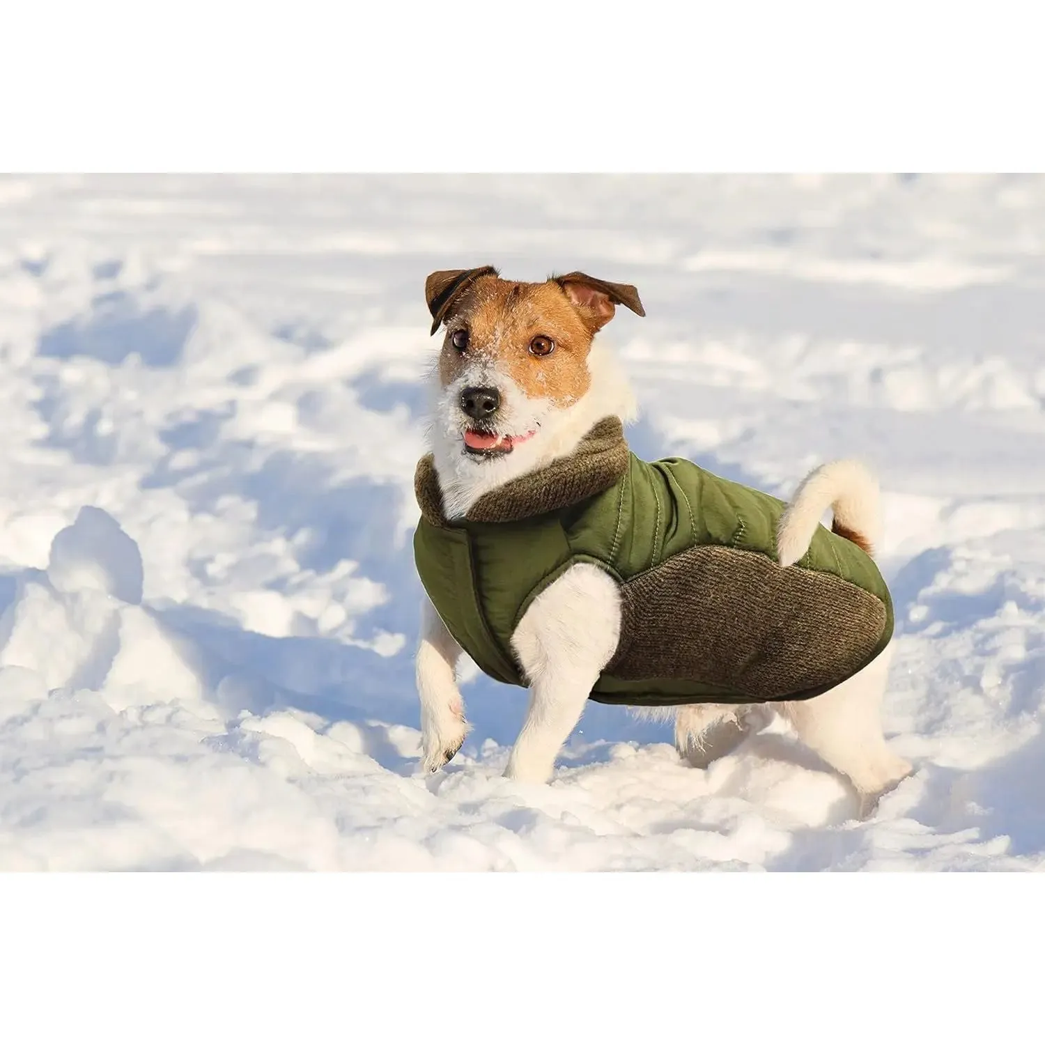 Fashion Pet Sweater Trim Puffy Coat Reversible Olive