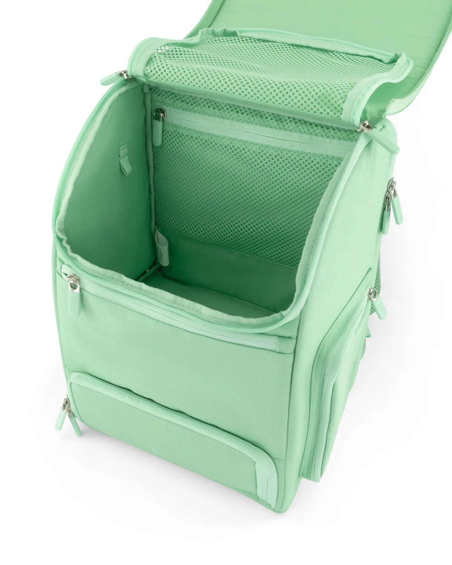 Frank Green - Everything Backpack | Mint Gelato