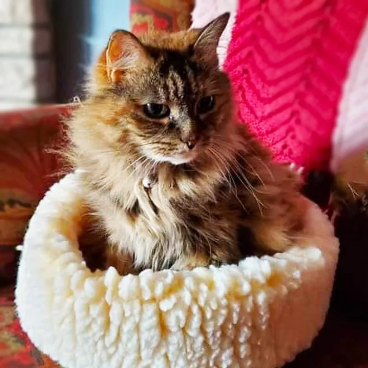 HuggleSnuggler™ Fleece Pet Bed