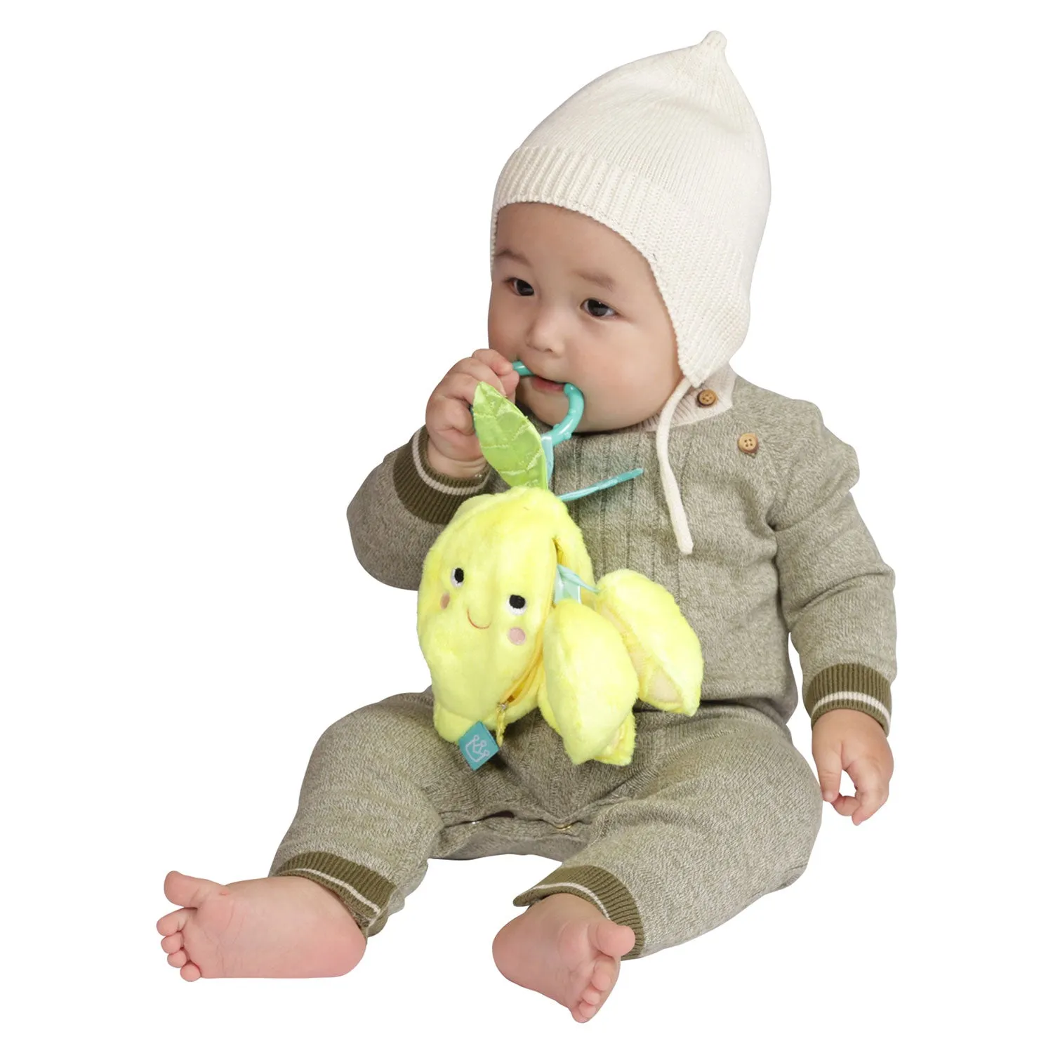 Mini-apple Farm Lemon